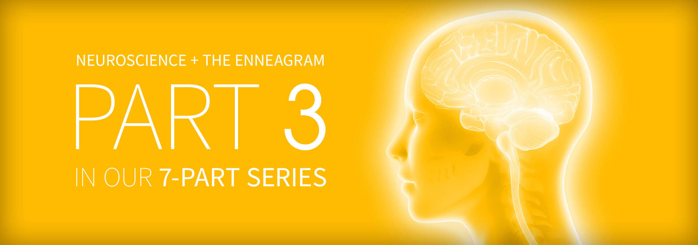 neuroscience and enneagram part 3