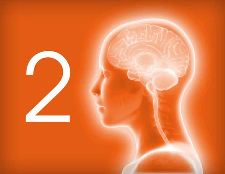 Neuroscience and the Enneagram Part 2: The Three Functions of the Brain