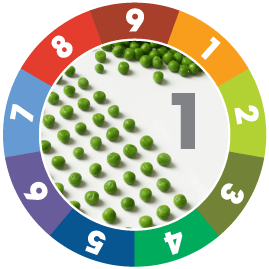 enneagram type 1 descriptive image sorting peas