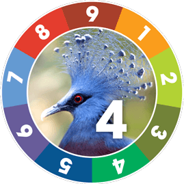 unique bird enneagram type 4 descriptive image