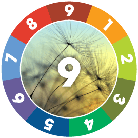 peaceful enneagram type 9 descriptive image