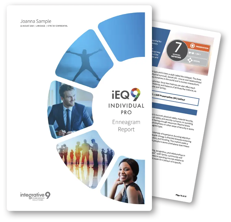 iEQ9 Individual Professional Report